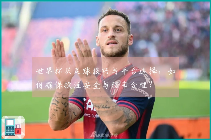 世界杯买足球技巧与平台选择,如何确保投注安全与赔率合理?