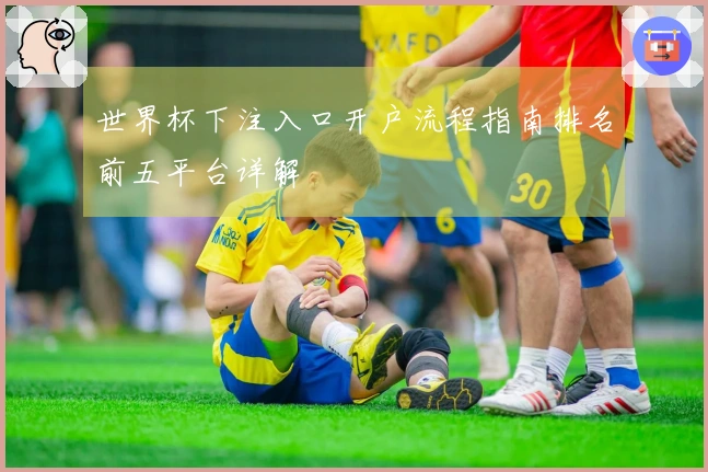 世界杯下注入口开户流程指南排名前五平台详解